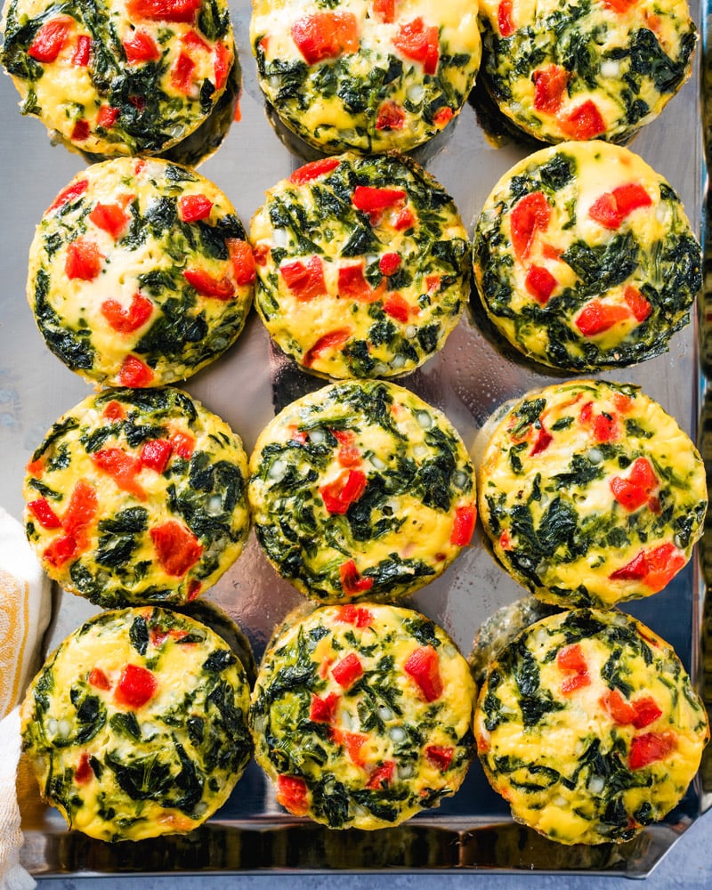 Egg Muffins
