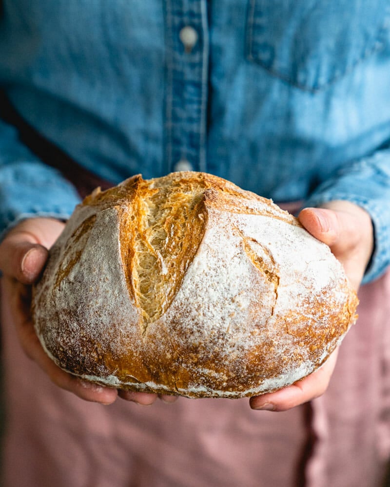 Best easy no knead bread